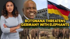 Botswana Threatens To Send 20,000 Elephants To Roam Free In Germany