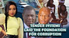 Tender Systems Laid The Foundation For Corruption In South Africa